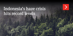  Indonesia’s haze crisis hits record levels 