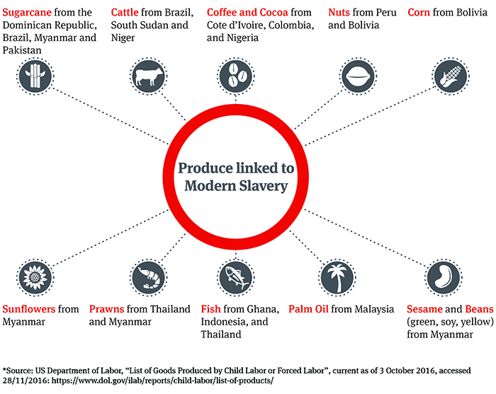 MSA food for thought infographics