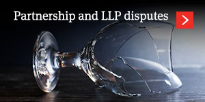  Partnership and LLP disputes 