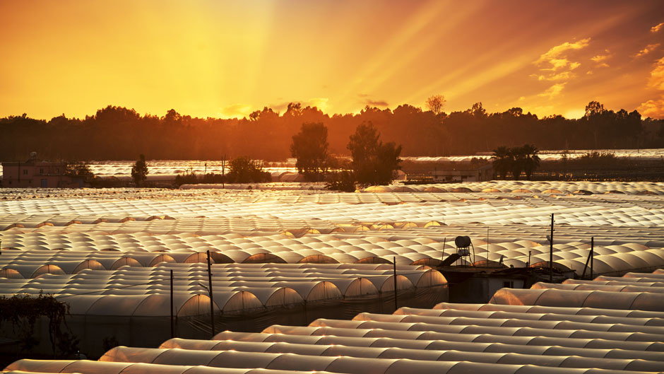 precision-agriculture
