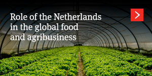 Role of the Netherlands in the global food and agribusiness