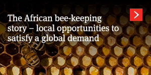  The African bee-keeping story – local opportunities to satisfy a global demand 