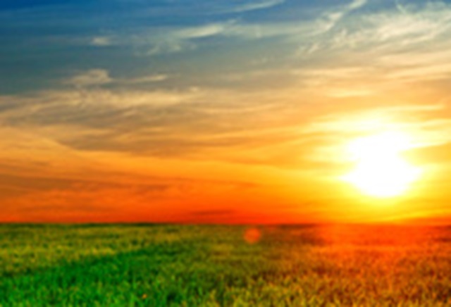 Sunset over grass