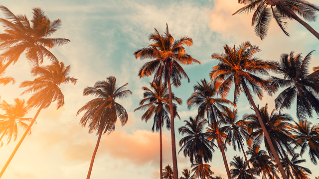 Consumer markets webinar series California legislative and enforcement update