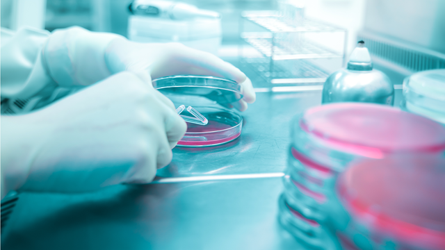 laboratory testing