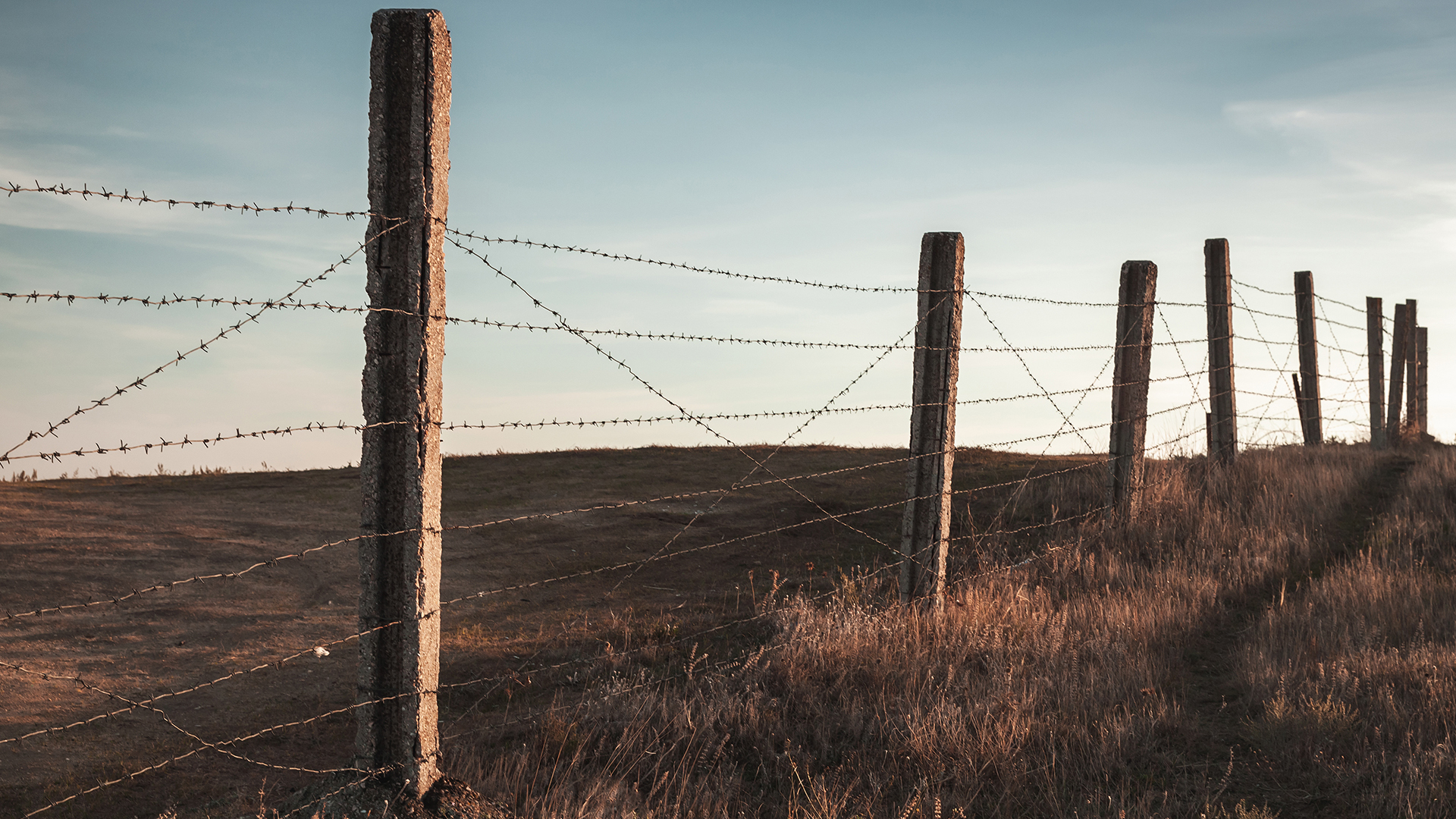 Fence Farm Agriculture