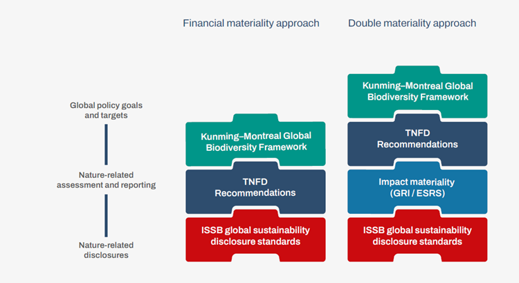AU_54768_Figure 1_The interconnections between the different global frameworks