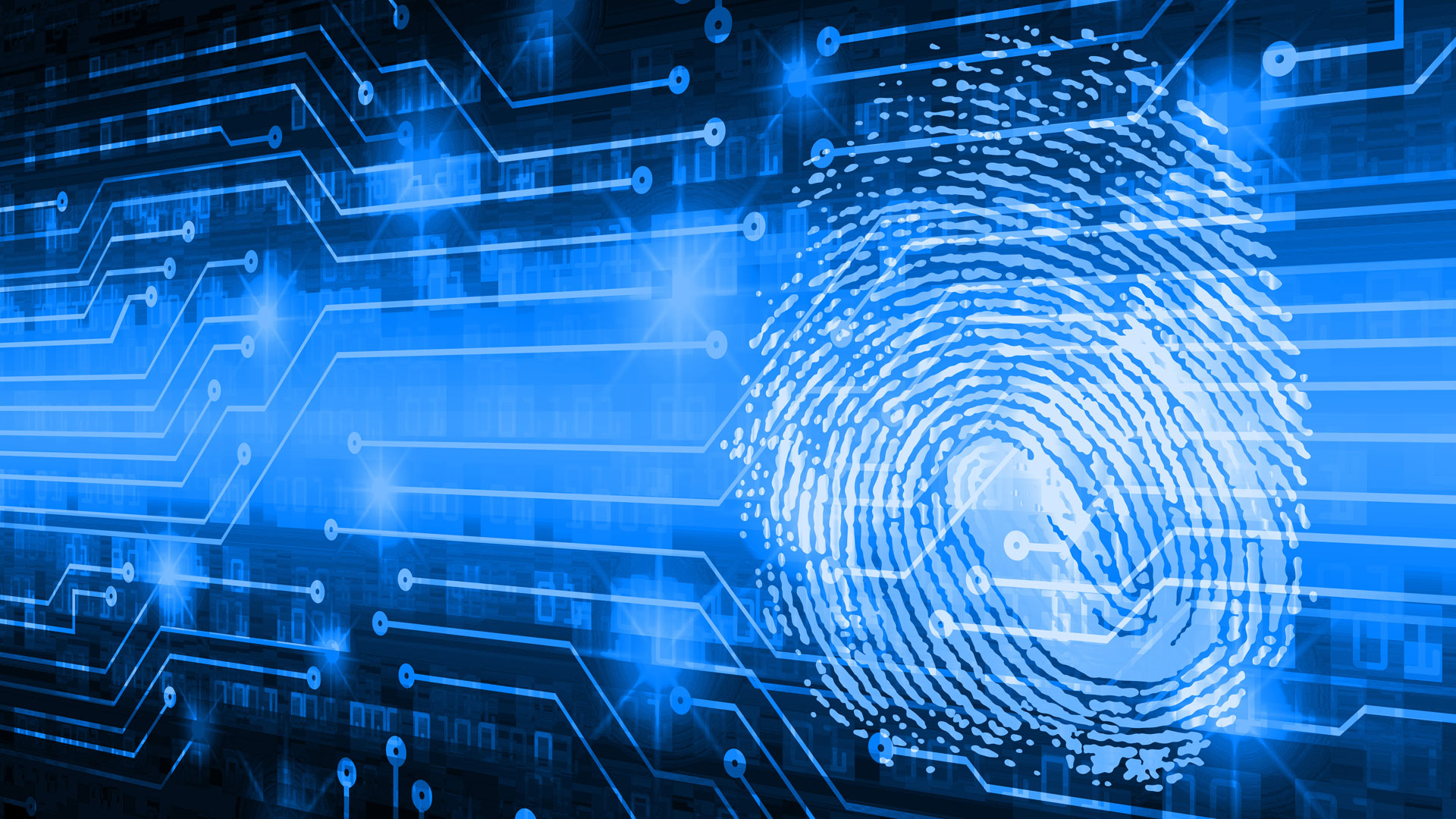 Digital fingerprint in blue
