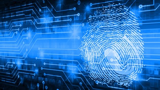 Digital fingerprint in blue