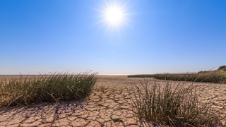 sunshine over dry desert