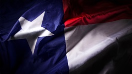 Texas flag
