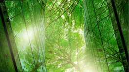 Minimizing D&O liability risks for companies powering the energy transition