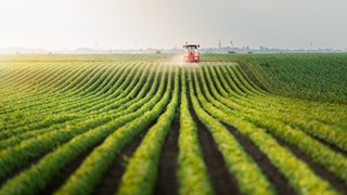 harvesting a green field