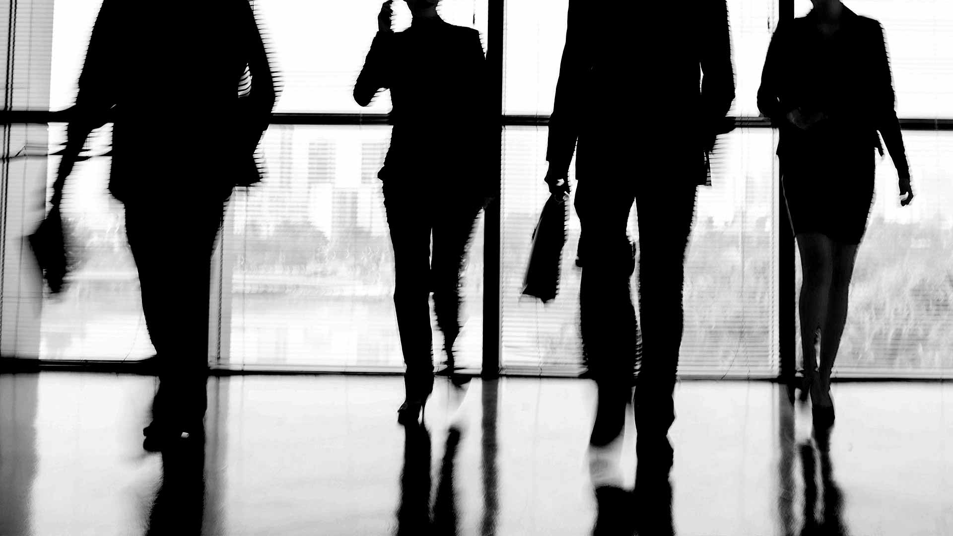 Silhouette of office workers