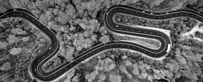 winding-road-in-forest