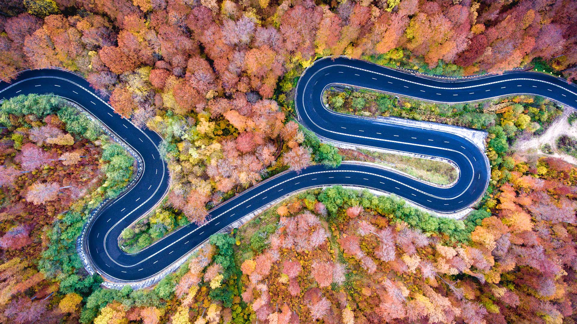 winding road in colourful forest