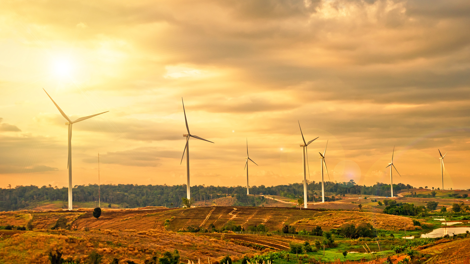 Wind turbines with sunlight