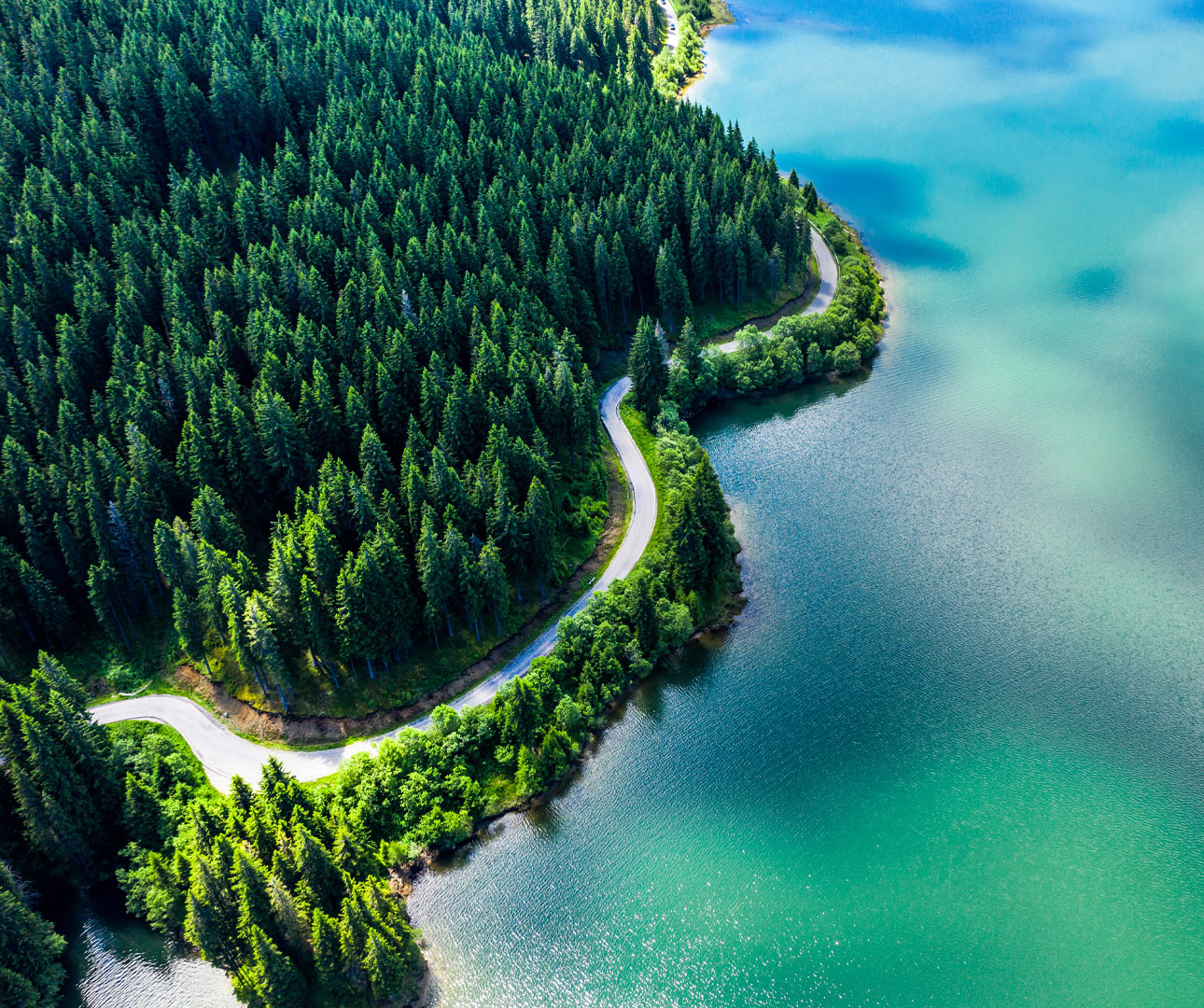 InsurTech Webinar: Is Carbon Insurance the essential element to a greener future?