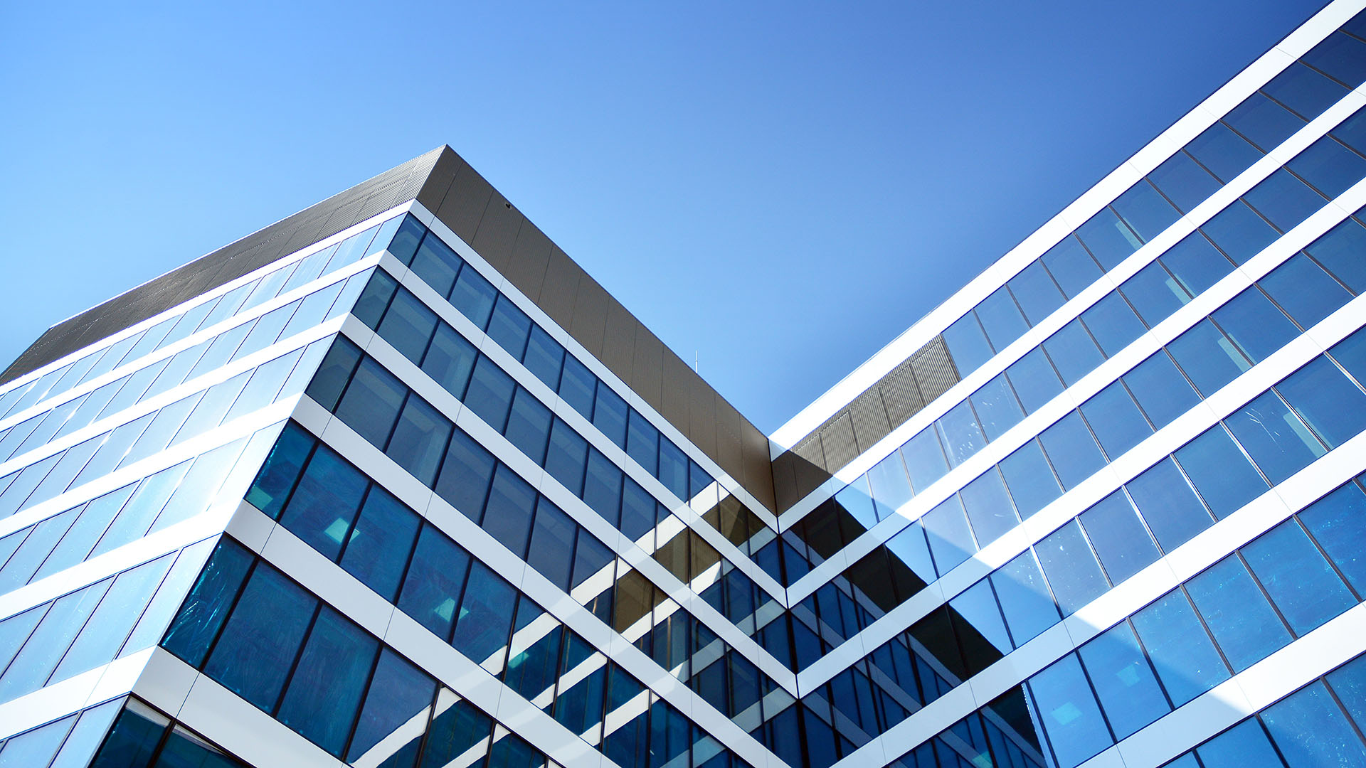 China eliminates all access restrictions to foreign investors in the manufacturing sector | Global law firm