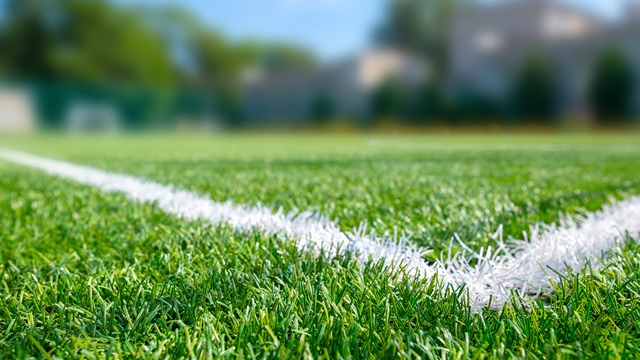 sports ground field