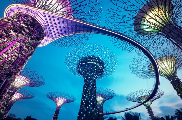 Night view of the Supertree Grove in the Graden by the Bay in Singapore