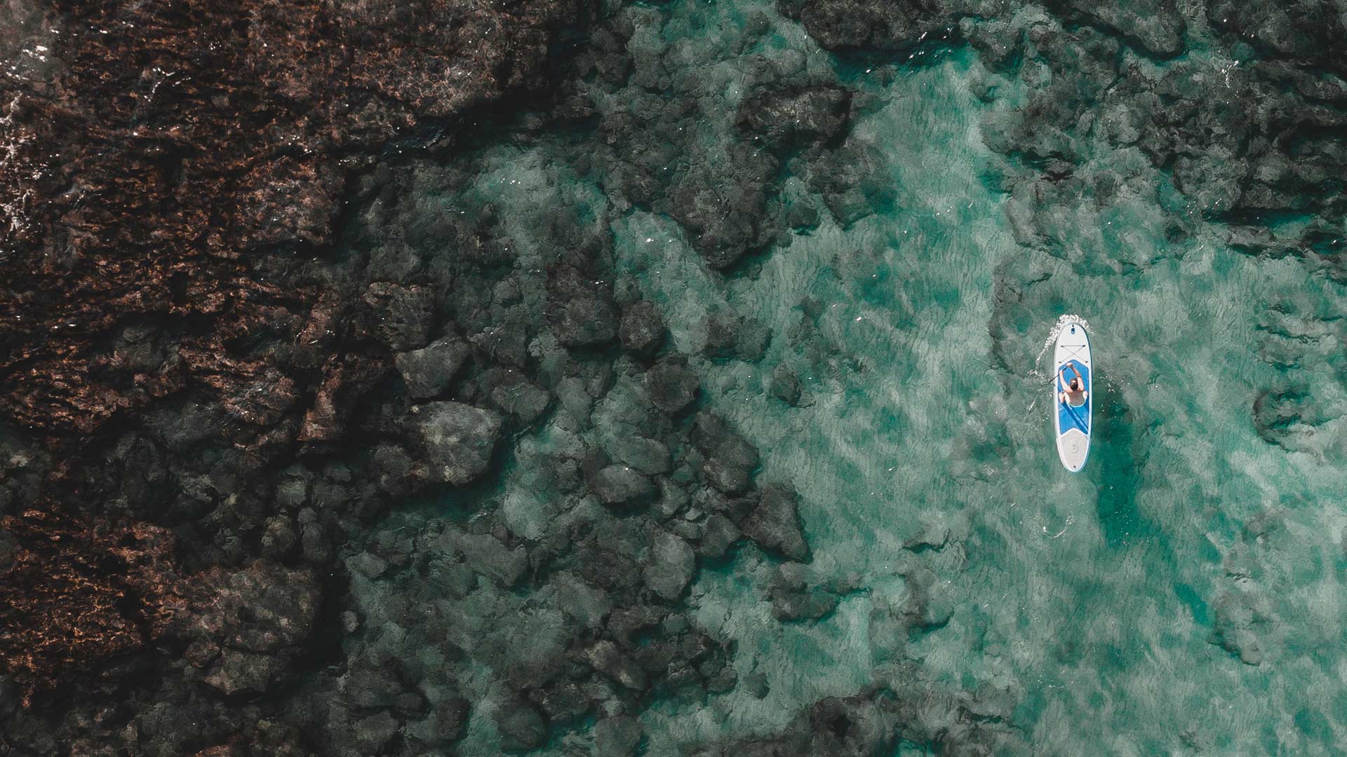 Reputational Risk Australia - 2019 Survey Report