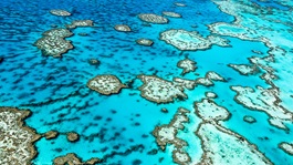 aerial of the great barrier reef