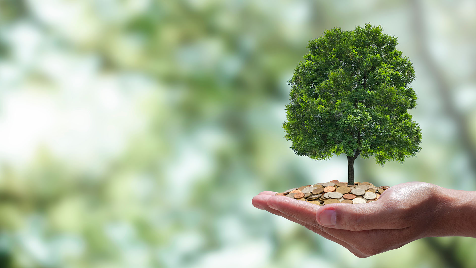 Creating carbon offset units on the voluntary market