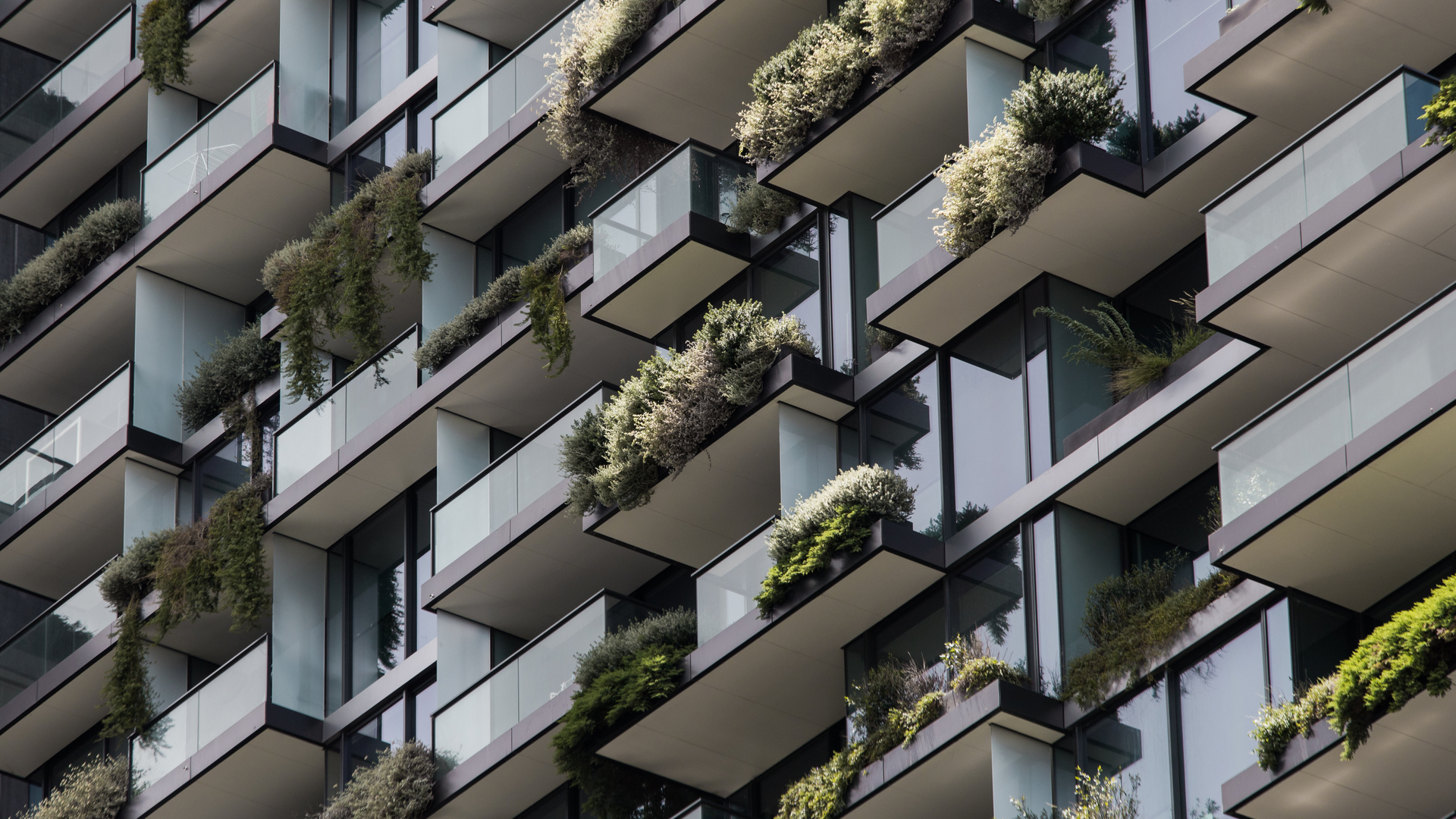 Apartment balcony with plants