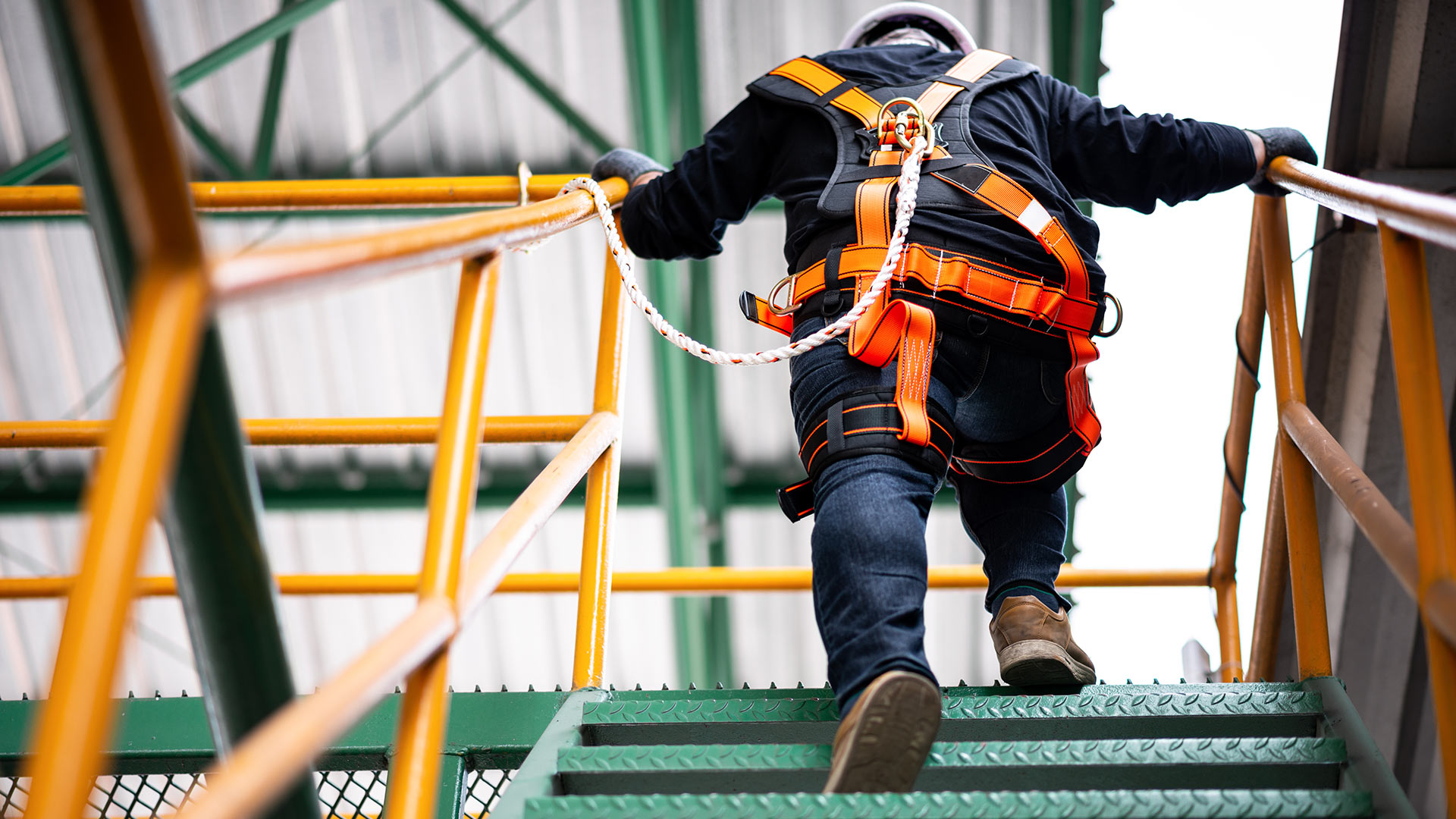 Work health and safety class action risk for directors: An ...