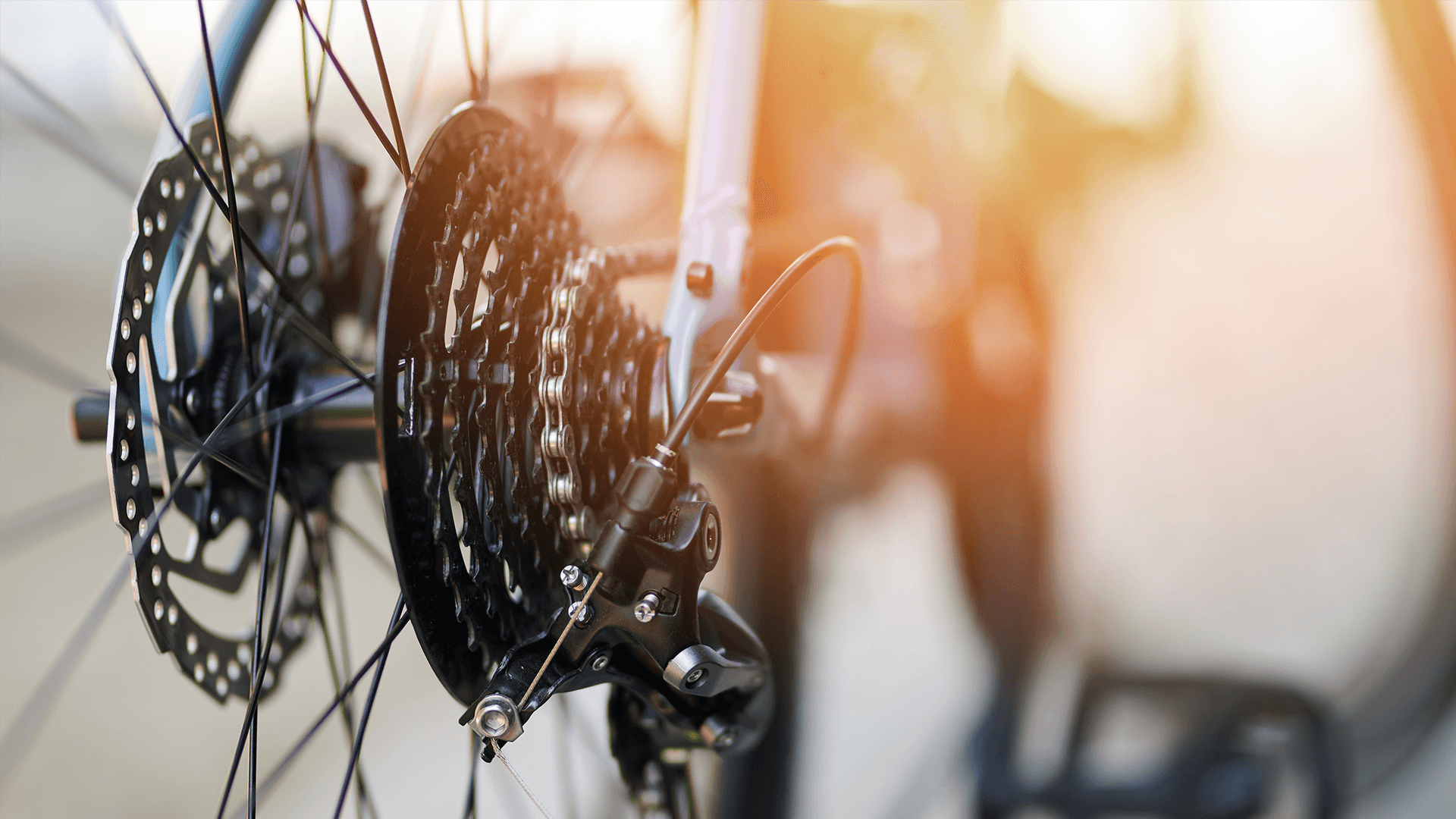 closeup of a bike spoke