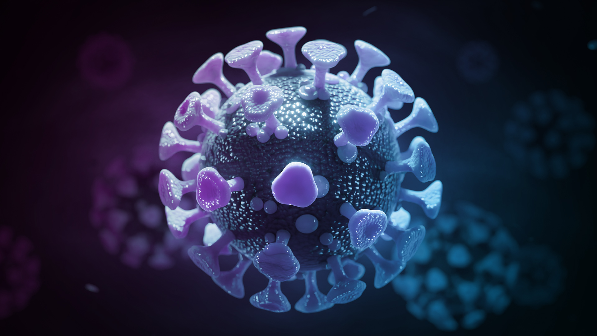 coronavirus