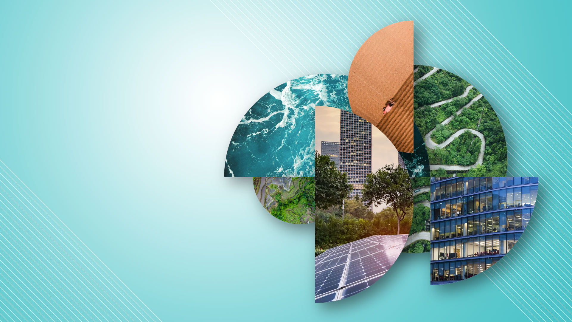 ESG and sustainability
