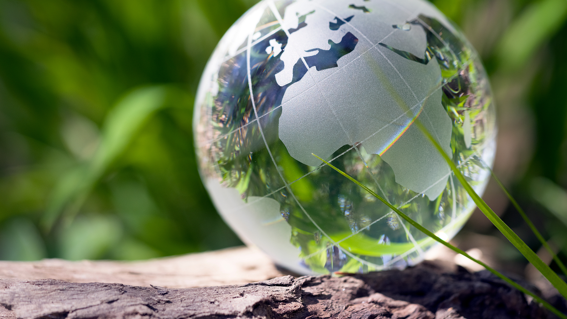 Judicial review reform and climate change/ESG actions: risks to your business?