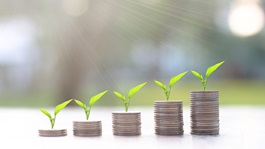 sustainable finance coins