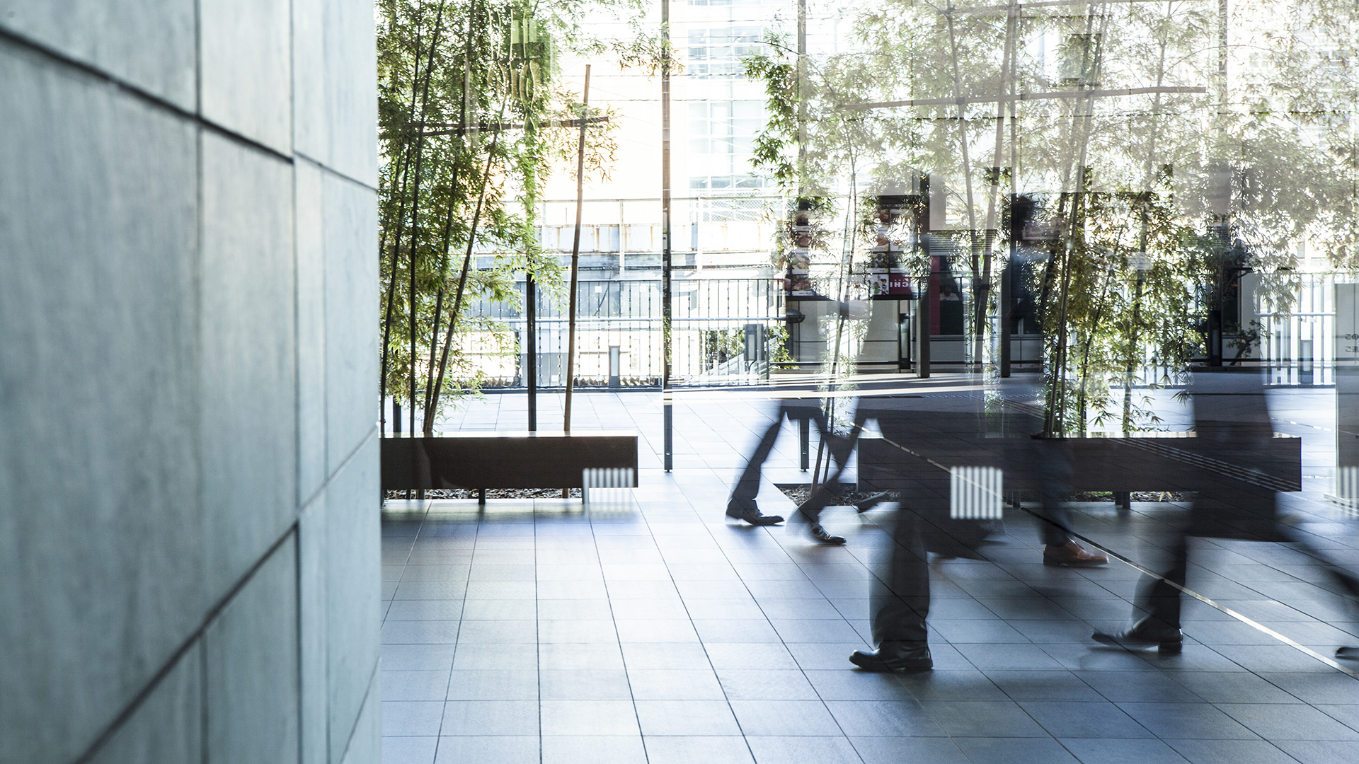 employees walking in modern building