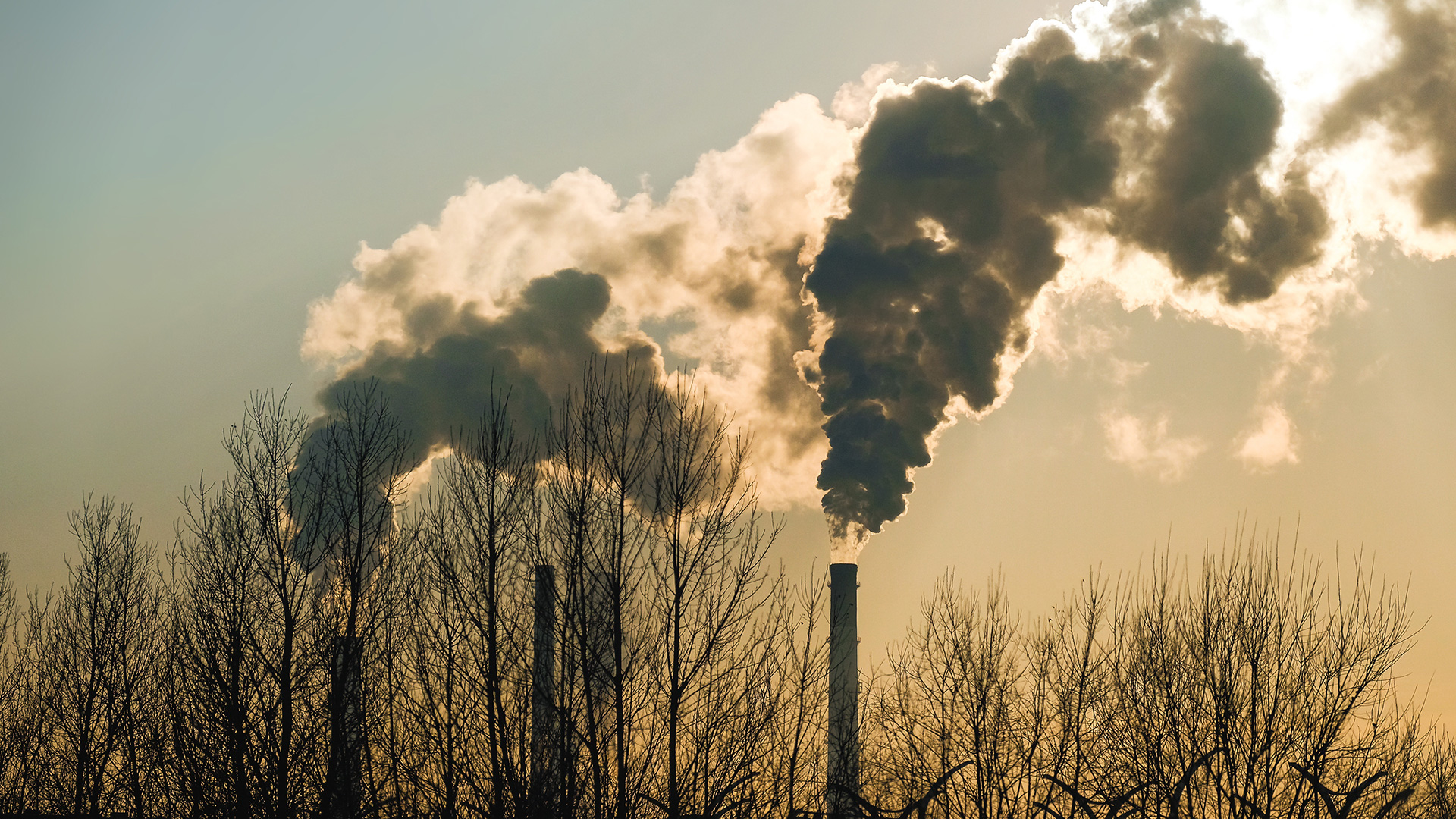 Can you claim a carbon credit for shutting down due to the pandemic?