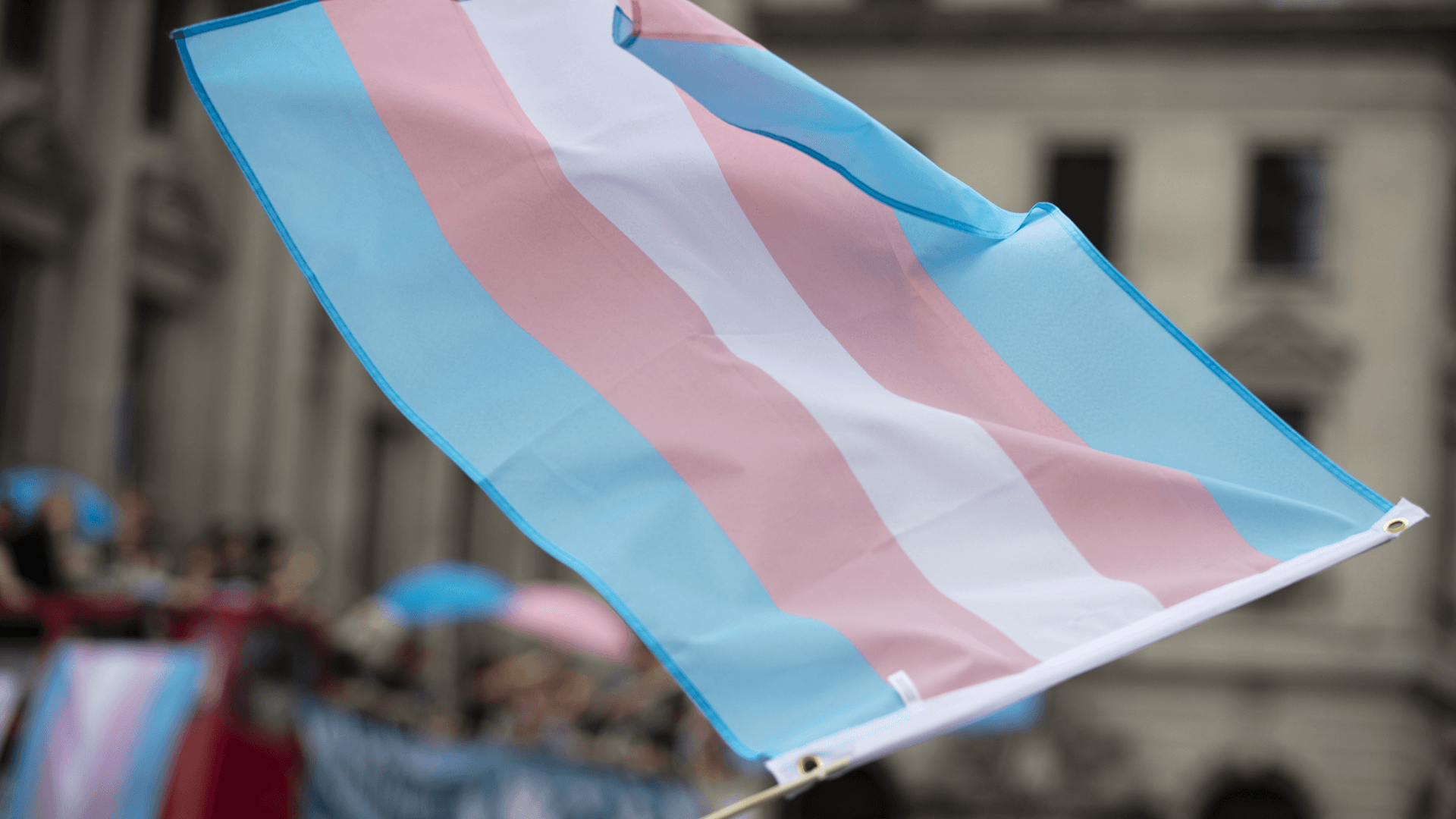 transgender flag