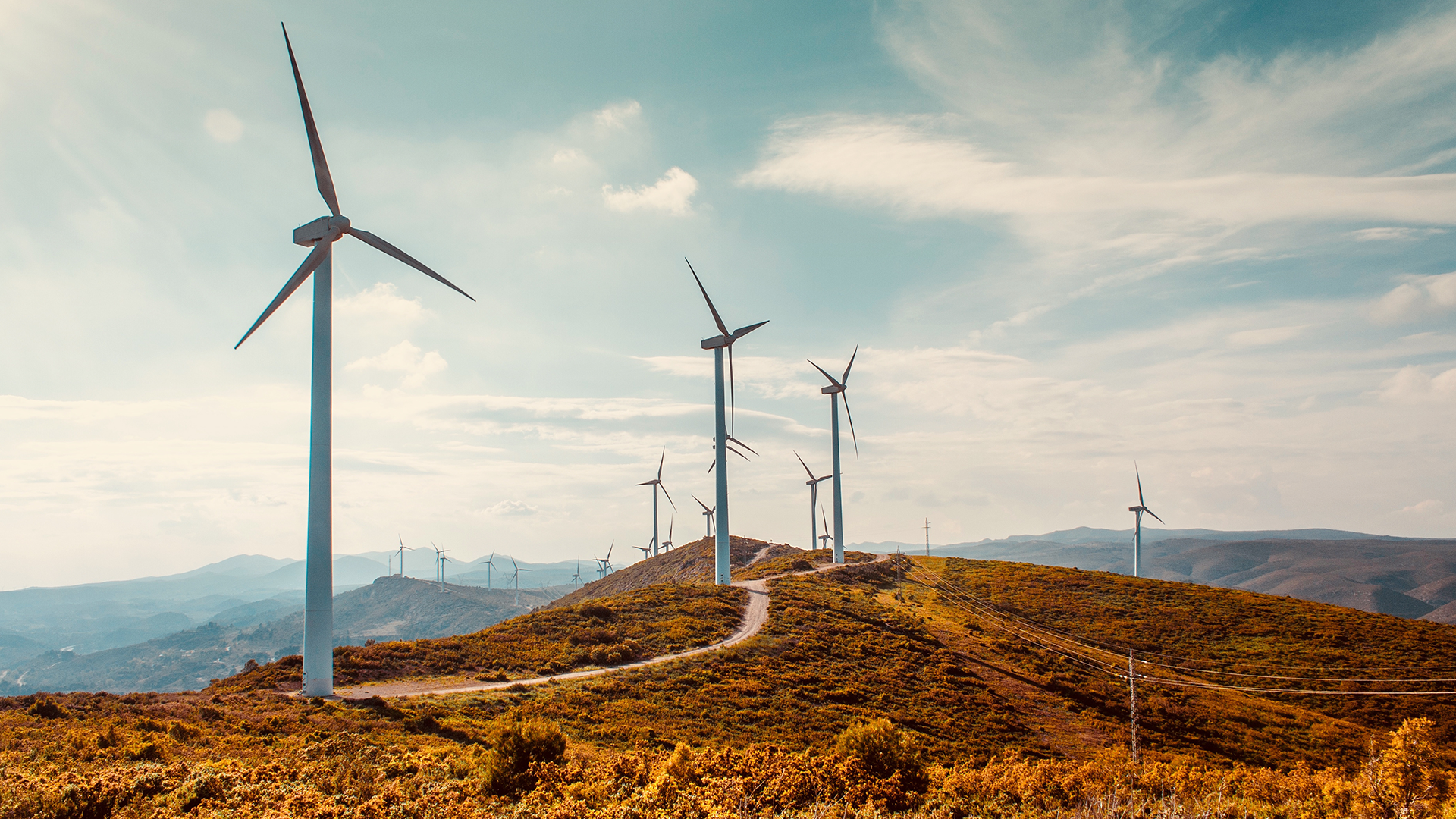 Windmills along the country side against a blue sky
