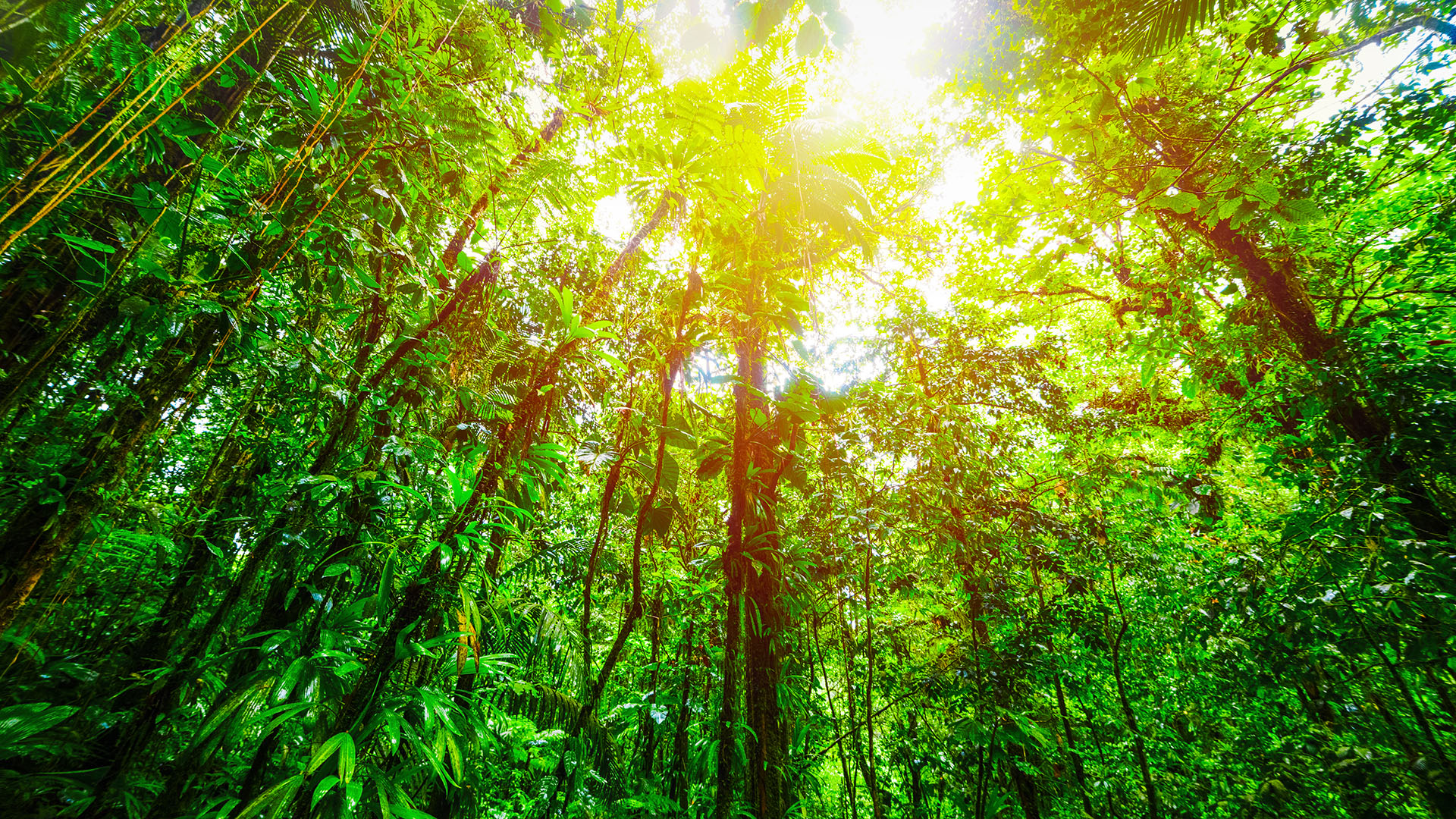 European Commission adopts European Sustainability Reporting Standards