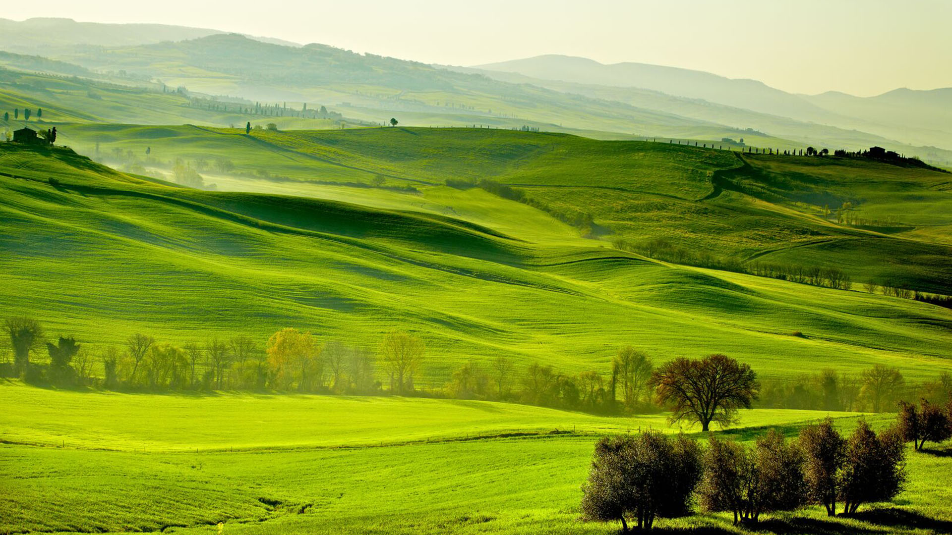 Countryside San Quirico d Orcia Tuscany