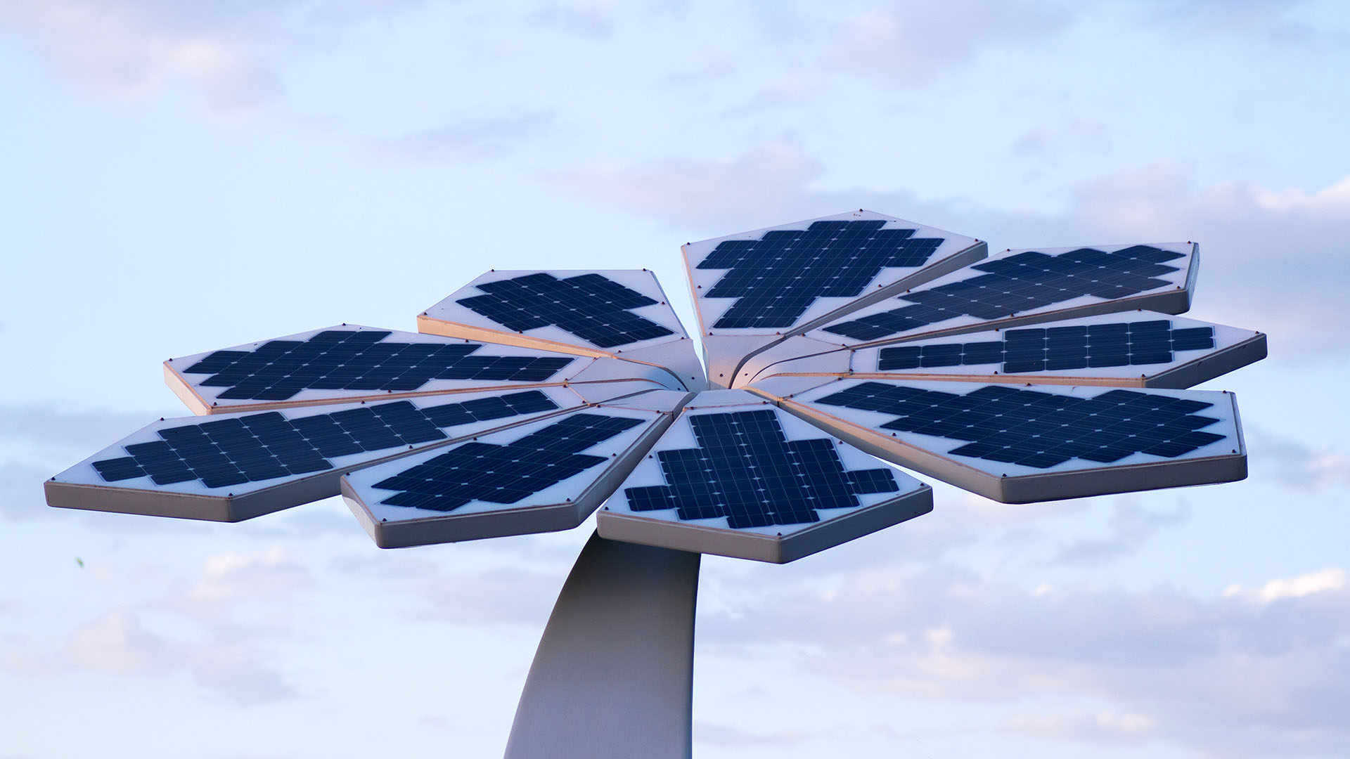 How is the United Arab Emirates planning to achieve net-zero?