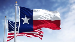 United States and Texas flag