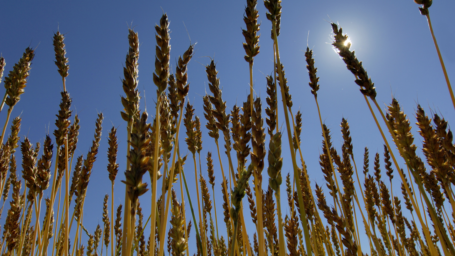 US Supreme Court holds that union access at California farms is a taking