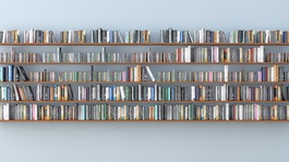 Bookshelves lined with books