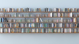 Bookshelves lined with books