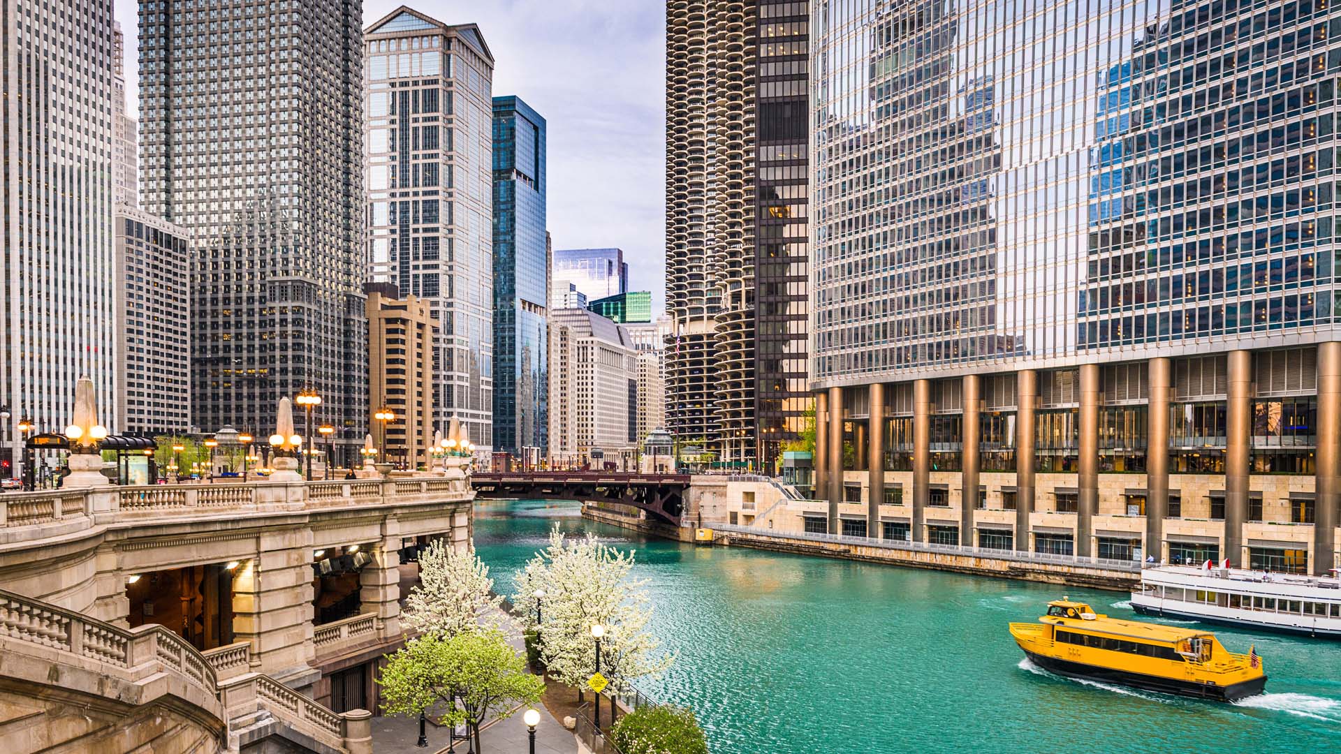 Downtown Chicago skyline
