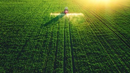 Crops on a farm