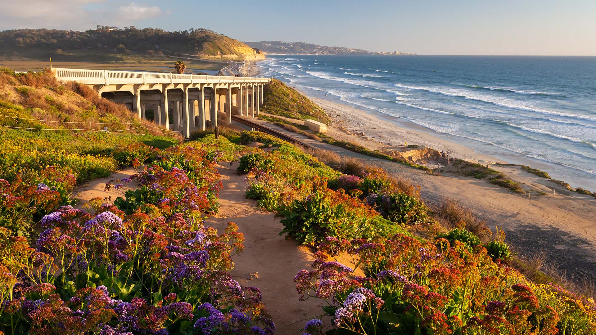 Coastal hiking path with a view of the ocean