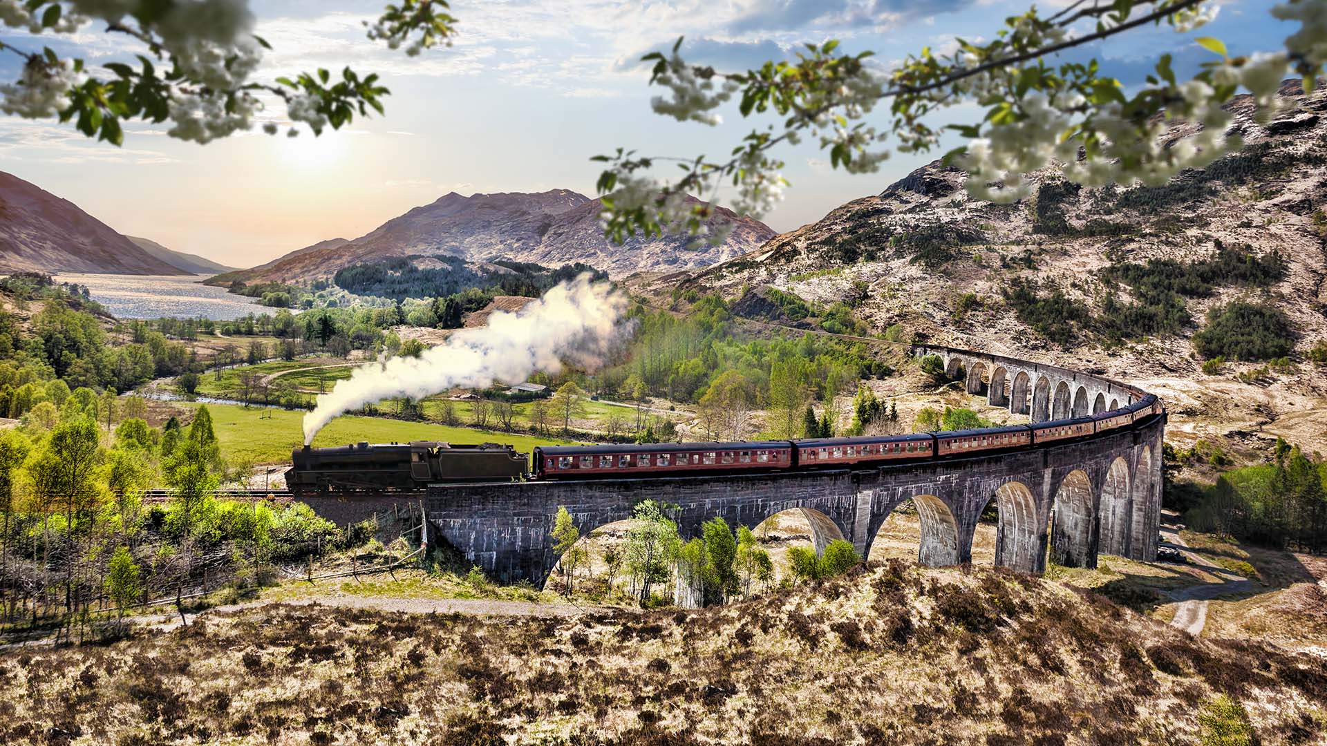 View of a train turning on the tracks